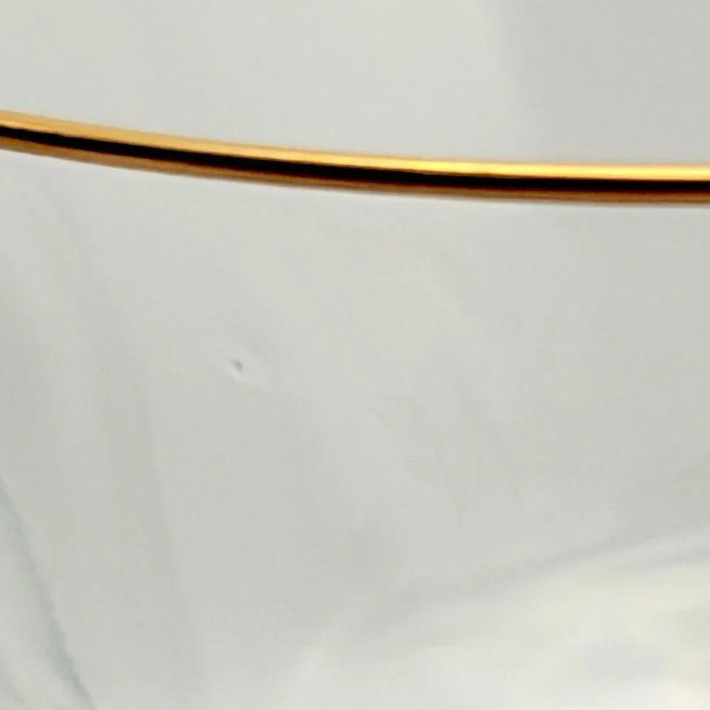 Vintage Lenox Autumn Champagne Tall Sherbet Glass Gold Rim Etched 1975-76